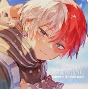 Profile image of Shoto Todoroki