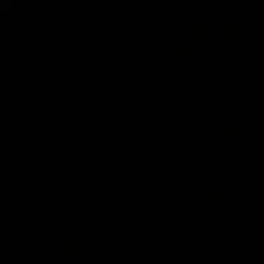 Profile image of P
