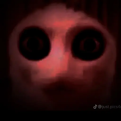MintyFilm3424의 고양이 귀신
