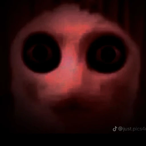 고양이 귀신