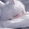 Profile image of 임조은