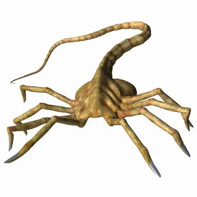 Profile image of 페이스허거