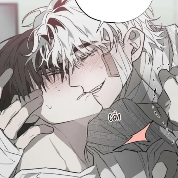 200c._.z의 백태진