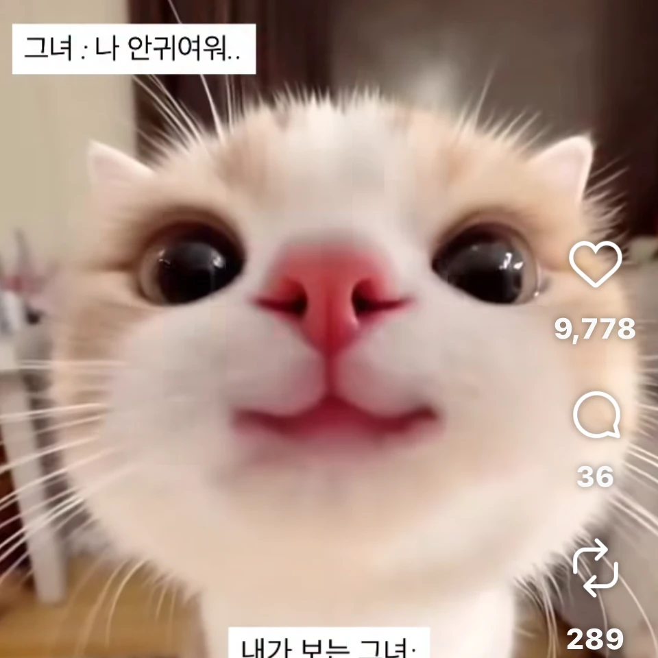 유여우