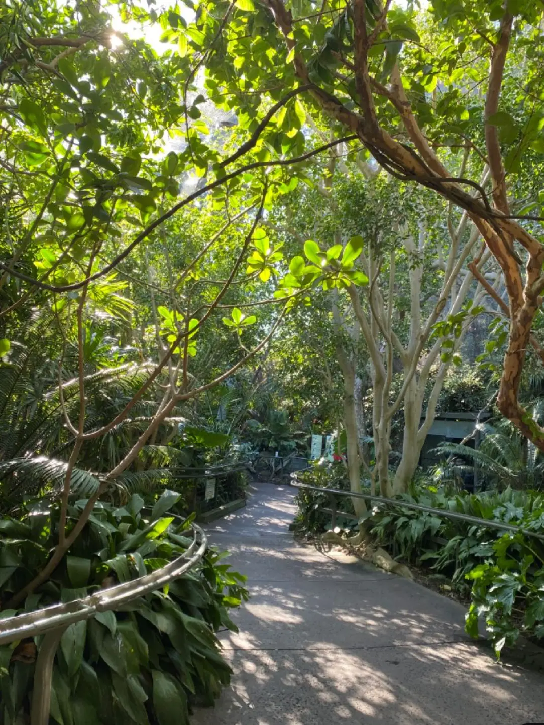 _174의 獣人動物園