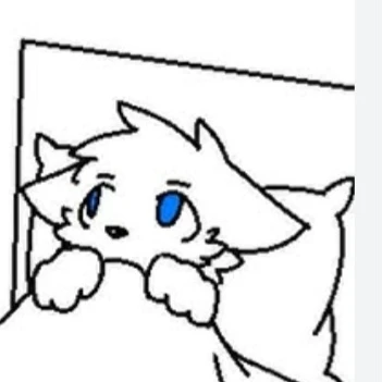 콜린