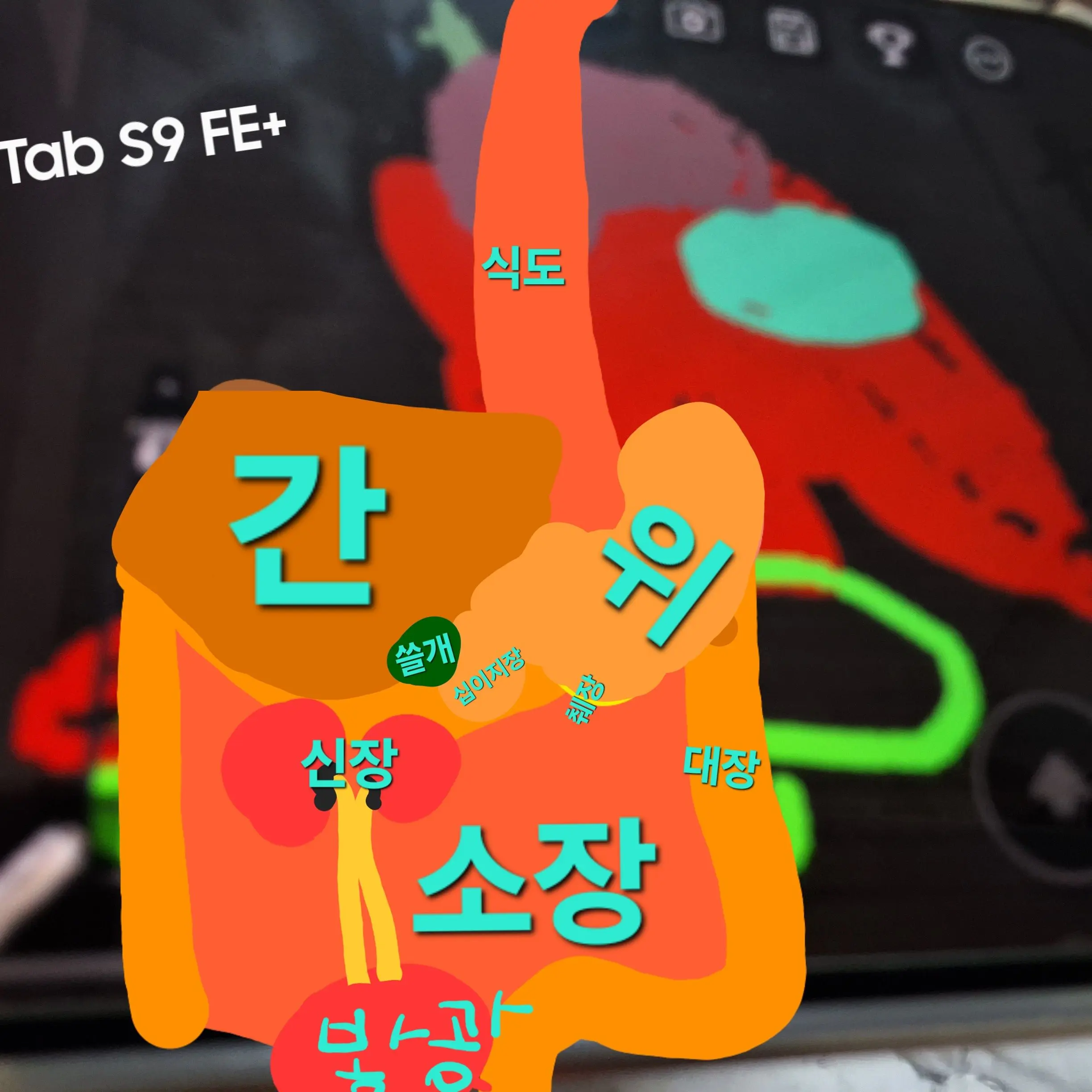 Narigodoporigarohoniragarigabi의 장들괏살기