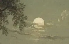 AwareLily7838의 percy jackson rp