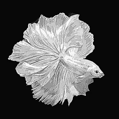 Profile image of 벨