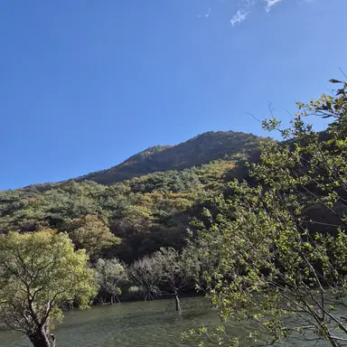 Profile image of 백강혁