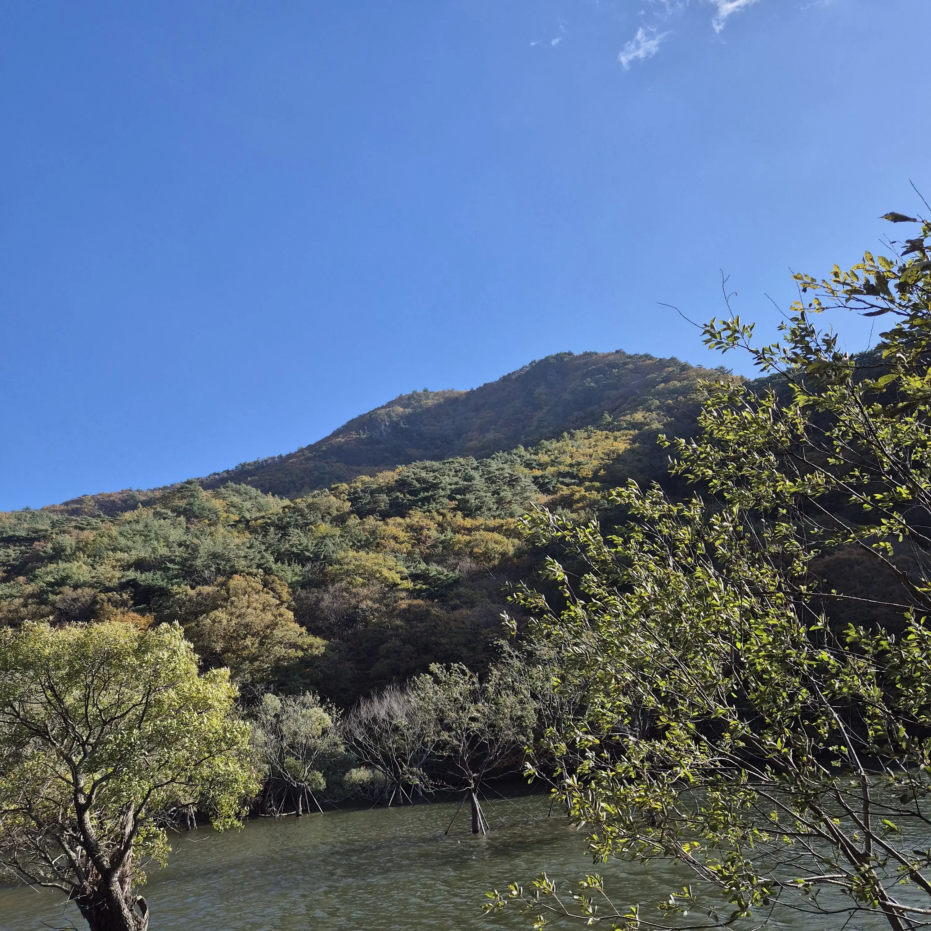 FirmSnow7486의 백강혁