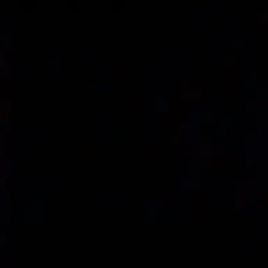 Profile image of 없음