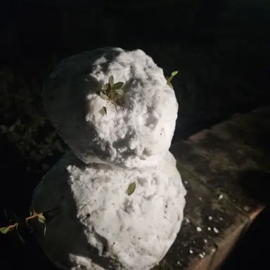 Profile image of 우도동사리