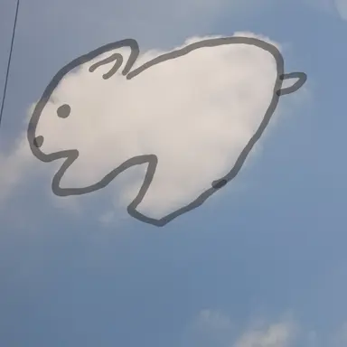 Profile image of 김다빈