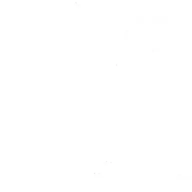 Profile image of 김동현