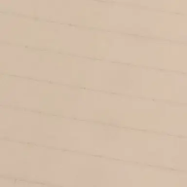 Profile image of ピリ