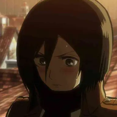 Profile image of ミカサ