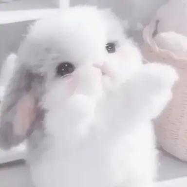 Profile image of ハニ