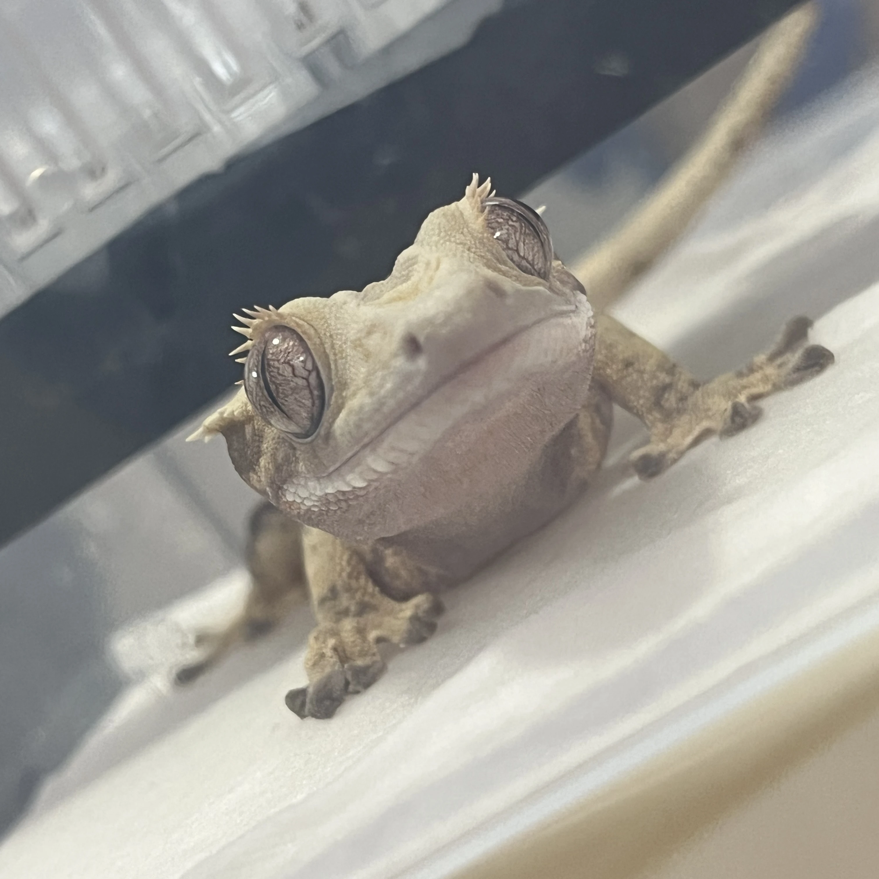 싸이코드 유치원