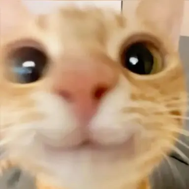 Profile image of 이민호