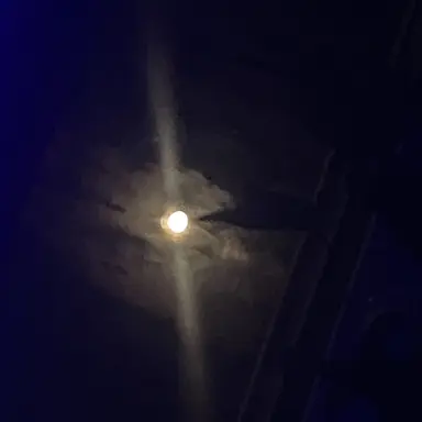 Profile image of The moon
