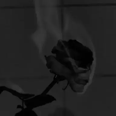 Profile image of 박덕개