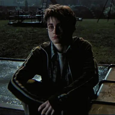 Profile image of Harry James Potter