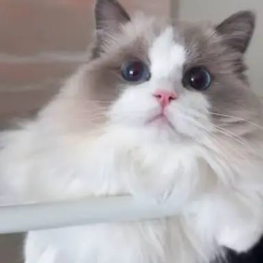 Profile image of 꾸꾸