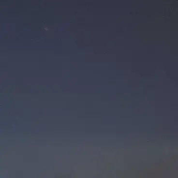 Profile image of 柏木悠
