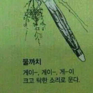 Profile image of 남친