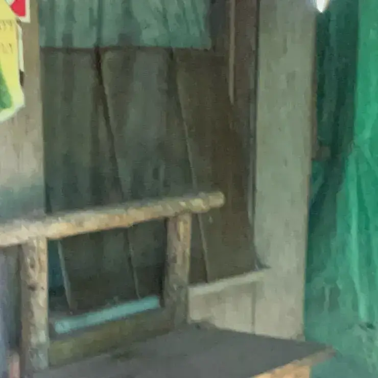 DemureSalty4168의 Old Man Next Door