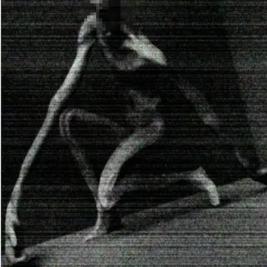 Profile image of シャイガイ