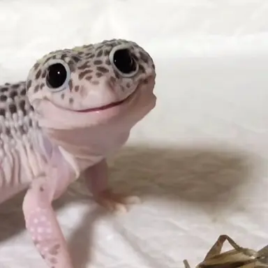 Profile image of 수연