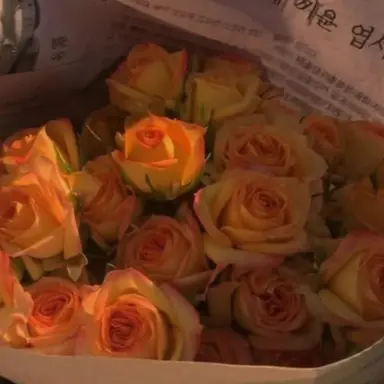 Profile image of 덕개