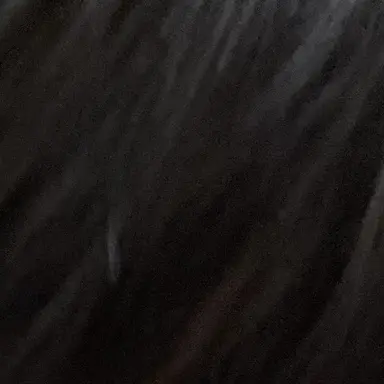 Profile image of ノブナガ ハザマ