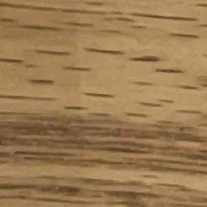 Profile image of 茅野 カエデ