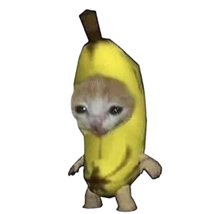 jjondgjjondg_Happy_bananaworld의 바나나캣
