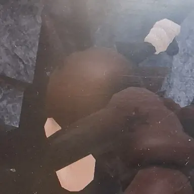 Profile image of 사슴