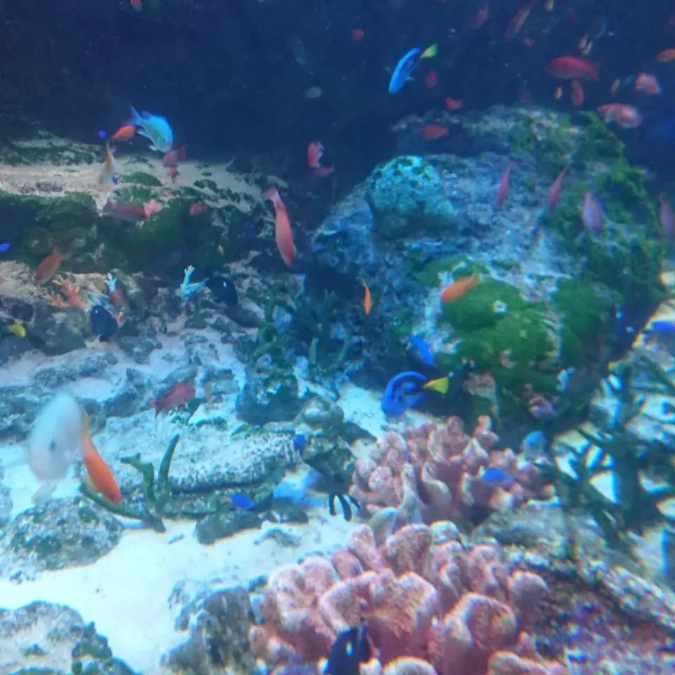 SturdyCoral9333의 永遠の雪の中で