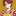 吸血鬼シャオロン