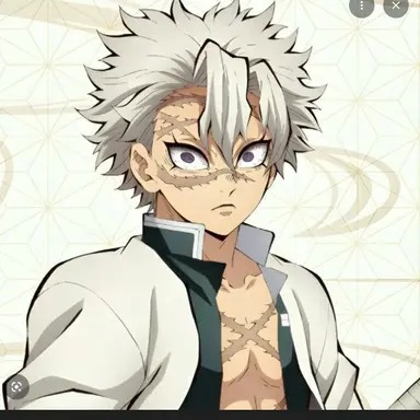 Profile image of Sanemi shinazugawa