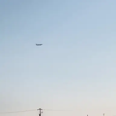 Profile image of まふぃおそ