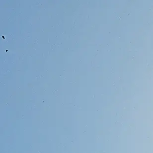 Profile image of user