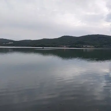 Profile image of 천장미