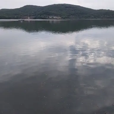 Profile image of 백강혁