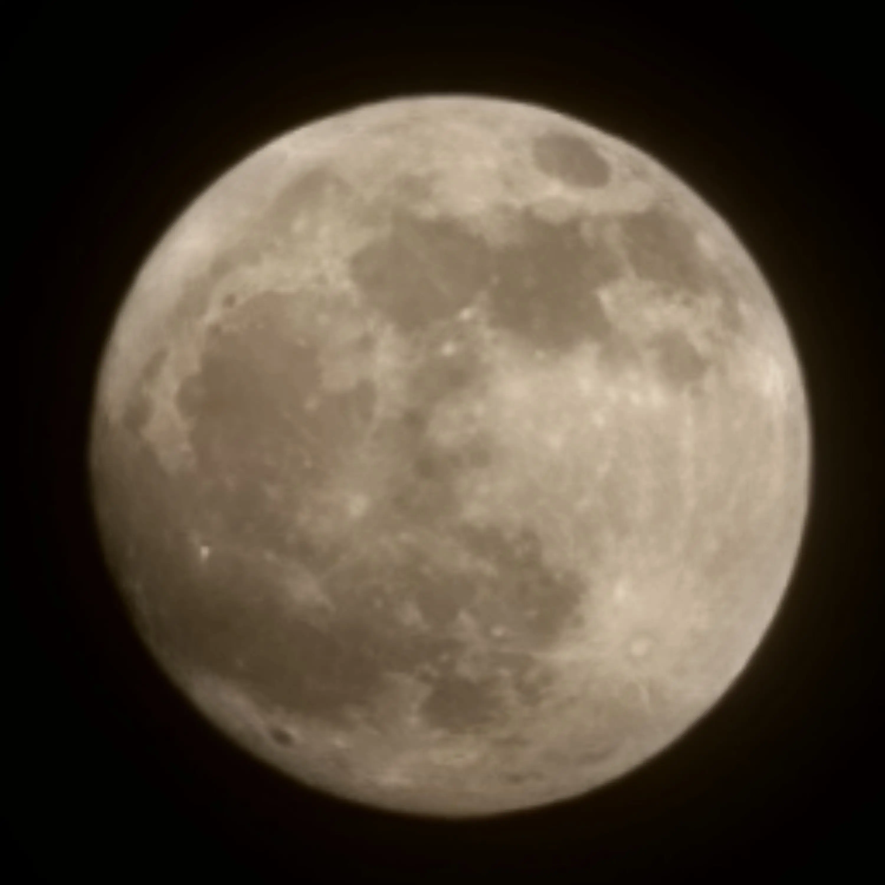 rurucoco12의 太陽と月の天体アレルギー