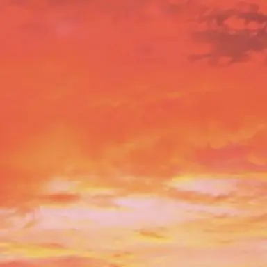 Profile image of 向井康二