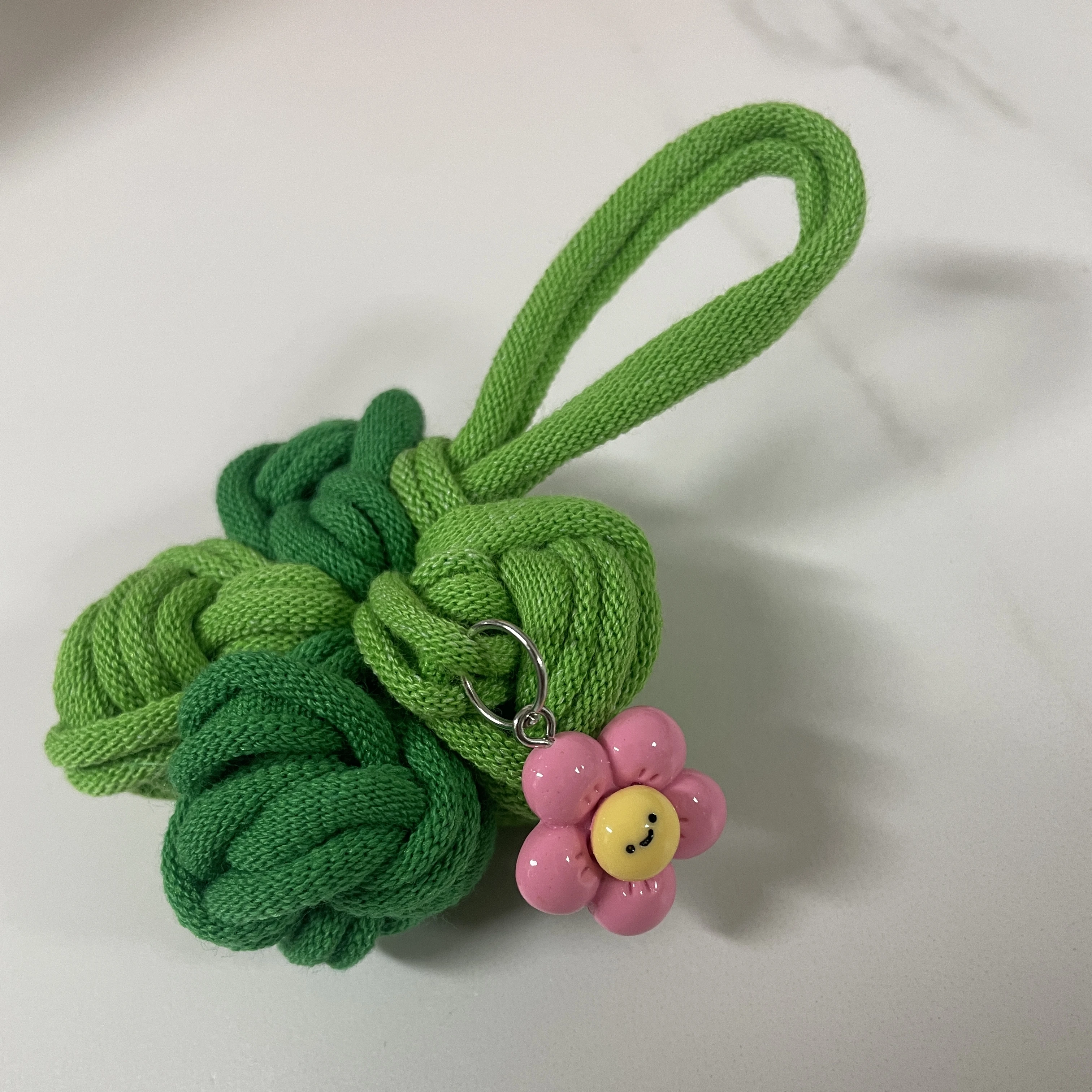 백지헌