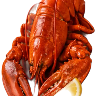 Profile image of 준장