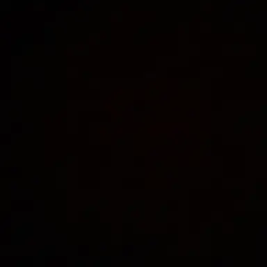 Profile image of 류 백화